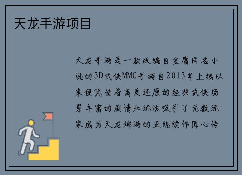 天龙手游项目